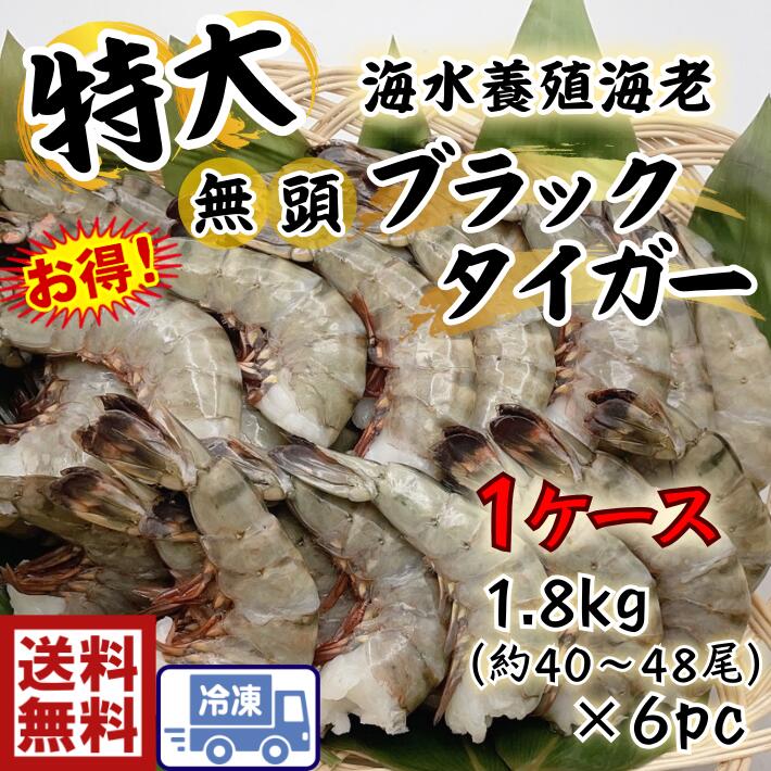 毎日続々入荷 送料無料 ｓ1特大 無頭 海老 ブラックタイガー 8 121.8ｋｇ 約40尾〜48尾入り特大 大きい えび エビ BBQ 屋台 文化祭  お祭り 塩焼き お正月 バーベキュー 煮しめ ぷりぷり エビフライ エビチリ えび天 fucoa.cl