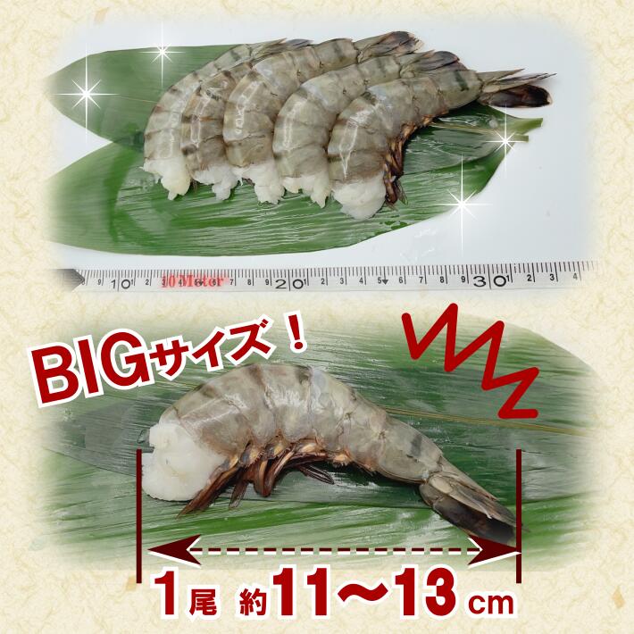 毎日続々入荷 送料無料 ｓ1特大 無頭 海老 ブラックタイガー 8 121 8ｋｇ 約40尾 48尾入り特大 大きい えび エビ q 屋台 文化祭 お祭り 塩焼き お正月 バーベキュー 煮しめ ぷりぷり エビフライ エビチリ えび天 Fucoa Cl