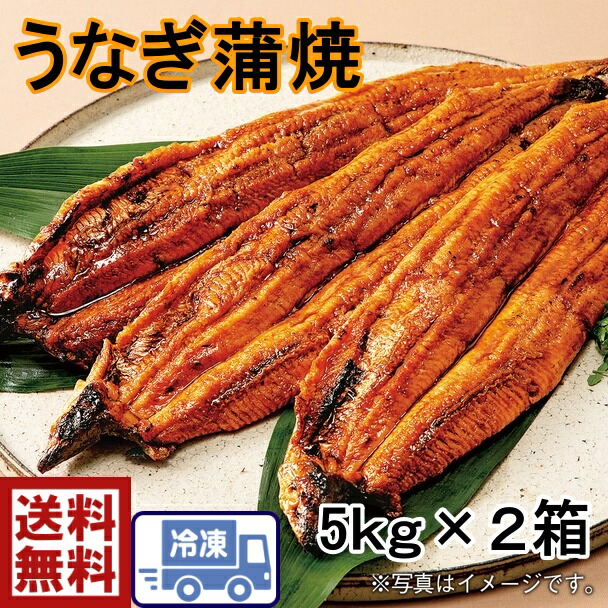 お買い得！鰻　30尾 送料無料 炭火焼うなぎ蒲焼　10キロ （30匹入り） 中国産　うなぎ ウナギ 鰻 蒲焼お得！ 鰻　うなぎ　ウナギ　蒲焼　かばやき　甘たれ　土用の丑　うな重　鰻丼　夏バテ予防　ふっくら柔らかい　中国産鰻 29,705円
