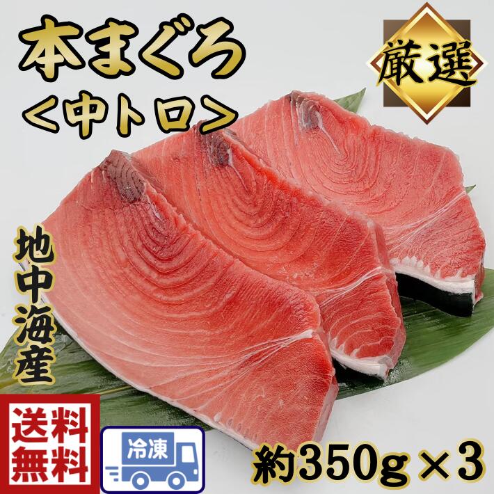 今ダケ送料無料 ギフトに最適送料無料 特選本まぐろ 中トロ 約350g×3冊まぐろのお刺身 お造り トロ とろ 中とろ新鮮 本マグロ 鮪 まぐろ  うまい 美味しい 絶品 海鮮丼 お寿司 まぐろ丼 たっぷり 1ｋｇ whitesforracialequity.org