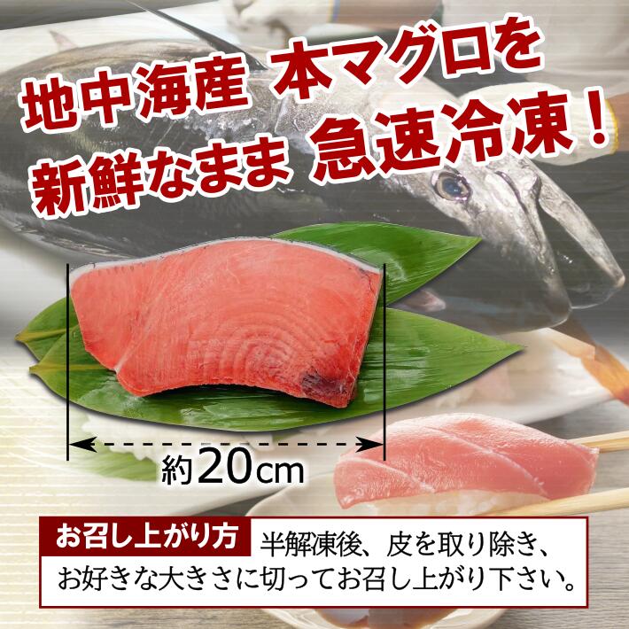 格安販売中 ギフトに最適送料無料 特選本まぐろ 中トロ 約350g×3冊まぐろのお刺身 お造り トロ とろ 中とろ新鮮 本マグロ 鮪 まぐろ うまい  美味しい 絶品 海鮮丼 お寿司 まぐろ丼 たっぷり 1ｋｇ whitesforracialequity.org