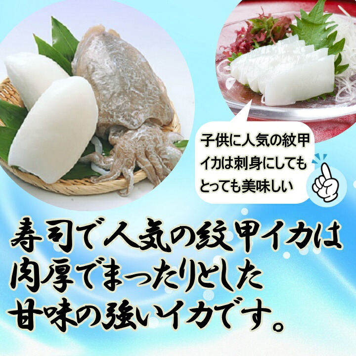 高級 いか 新鮮 お造り お寿司 いかそうめん スキンレス 刺身用紋甲いかスキンレスお刺し身 約2kg東南アジア産イカ 生食用もんごういか 烏賊 天ぷら 使いやすい処理済 モンゴウイカ 生食 高級 いか 新鮮 お造り お寿司 いかそうめん スキンレス 刺身用紋甲いかスキンレスお刺し身 約2kg東南アジア産イカ 生食用もんごういか 烏賊 天ぷら 使いやすい処理済 モンゴウイカ 生食