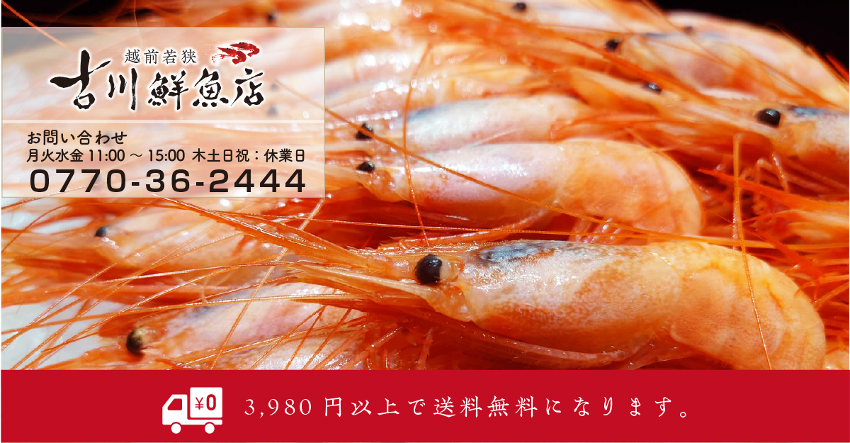 越前若狭 古川鮮魚店：産地直送！越前若狭の味覚をご堪能ください。獲れたてをお届けます。