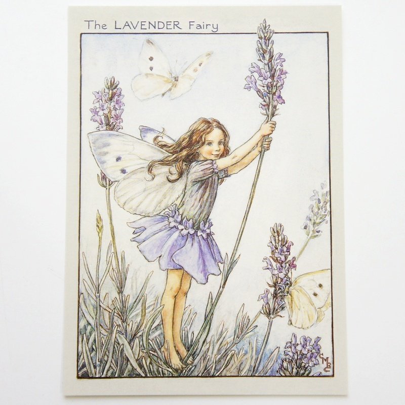 楽天市場 フラワーフェアリーズ ポストカード The Lavender Fairy フラワーフェアリーズ ポストカード 花の妖精たち 絵葉書 ラベンダーの妖精 プリザーブドフラワーフルールサラ