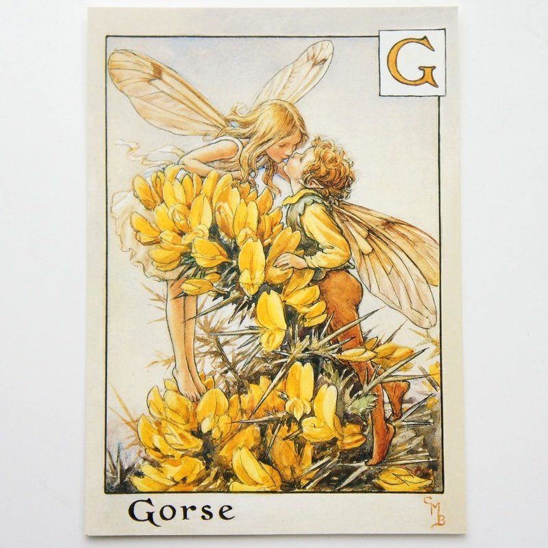 楽天市場 フラワーフェアリーズ ポストカード The Gorse Fiaries フラワーフェアリーズ ポストカード 花の妖精たち 絵葉書 ハリエニシダの妖精 プリザーブドフラワーフルールサラ