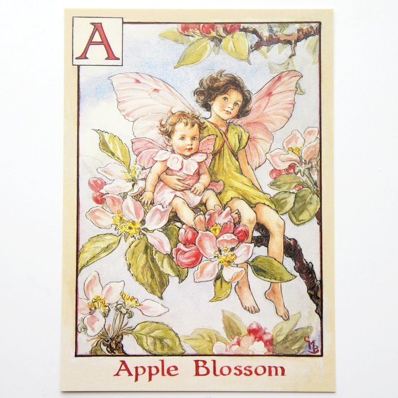 楽天市場 フラワーフェアリーズ ポストカード The Apple Blossom Fairies フラワーフェアリーズ ポストカード 花の妖精たち 絵葉書 リンゴの花の妖精 プリザーブドフラワーフルールサラ