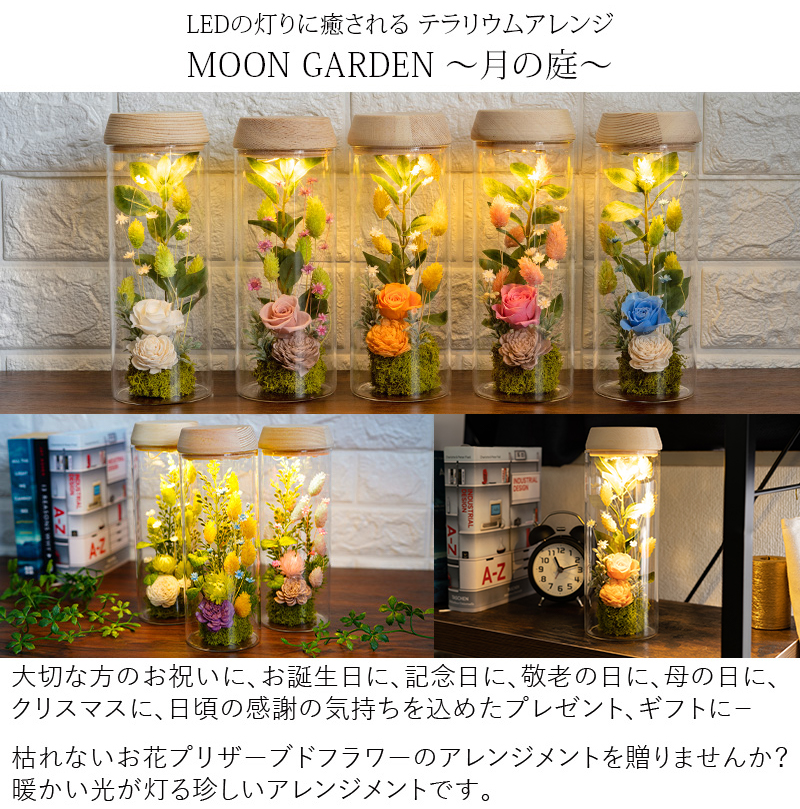 プリザーブドフラワー Moon Garden 花 ギフト 誕生日 プレゼント 女性 母 女友達 祖母 花 癒し おしゃれ インテリア 雑貨 苔 テラリウム フラワー ギフト お祝い 送別会 退職祝い 結婚祝い 出産祝い 贈り物 新築祝い 友人 ブリザードフラワー お花の宅配 Napierprison Com