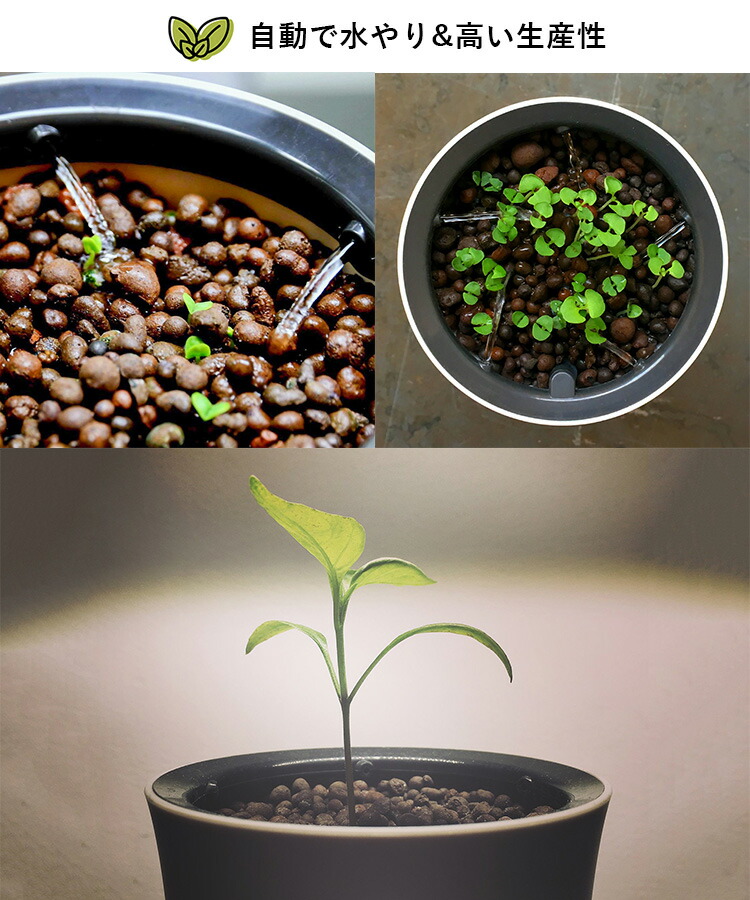 送料無料 グローイングミディアム 液体栄養素セット ボタニアム Botanium スマート水耕栽培プランター Inv インテリア雑貨 フラネ 一部予約 8月上 正規販売店 ポイント12倍 ガーデニング 農業 Flaner プランター 8 18 スウェーデン発 自動で