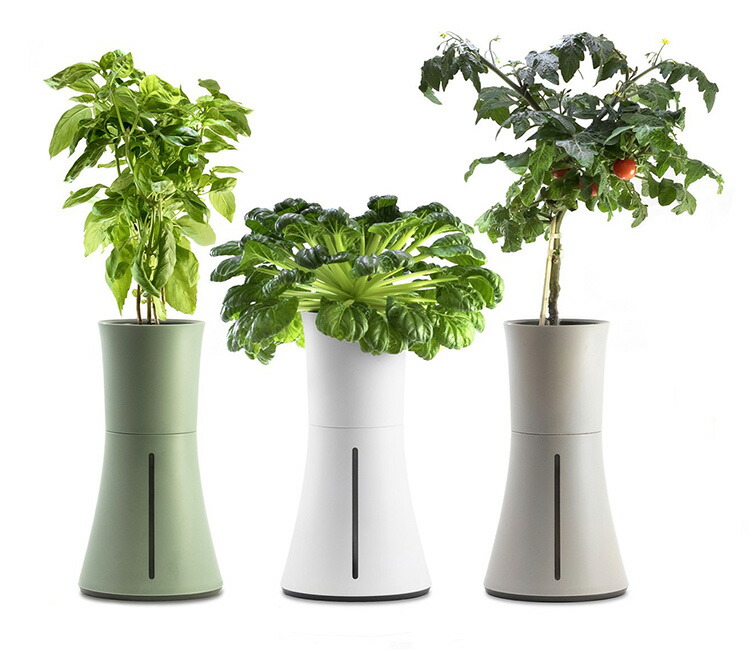 送料無料 グローイングミディアム 液体栄養素セット ボタニアム Botanium スマート水耕栽培プランター Inv インテリア雑貨 フラネ 一部予約 8月上 正規販売店 ポイント12倍 ガーデニング 農業 Flaner プランター 8 18 スウェーデン発 自動で