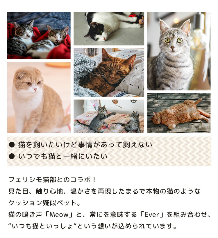 300円様式off引換証客体 Meowever ミャウエバー ねんねこ型座蒲団 クッション型疑似ペット Bwld 貨物輸送無料 場所7倍加 9 15 Expomujerescolombia Com Co