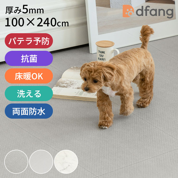 ★NEW ITEM