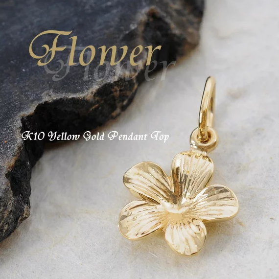 楽天市場】【15%OFFクーポン+エントリーでP2倍&スーパーSALE】10金