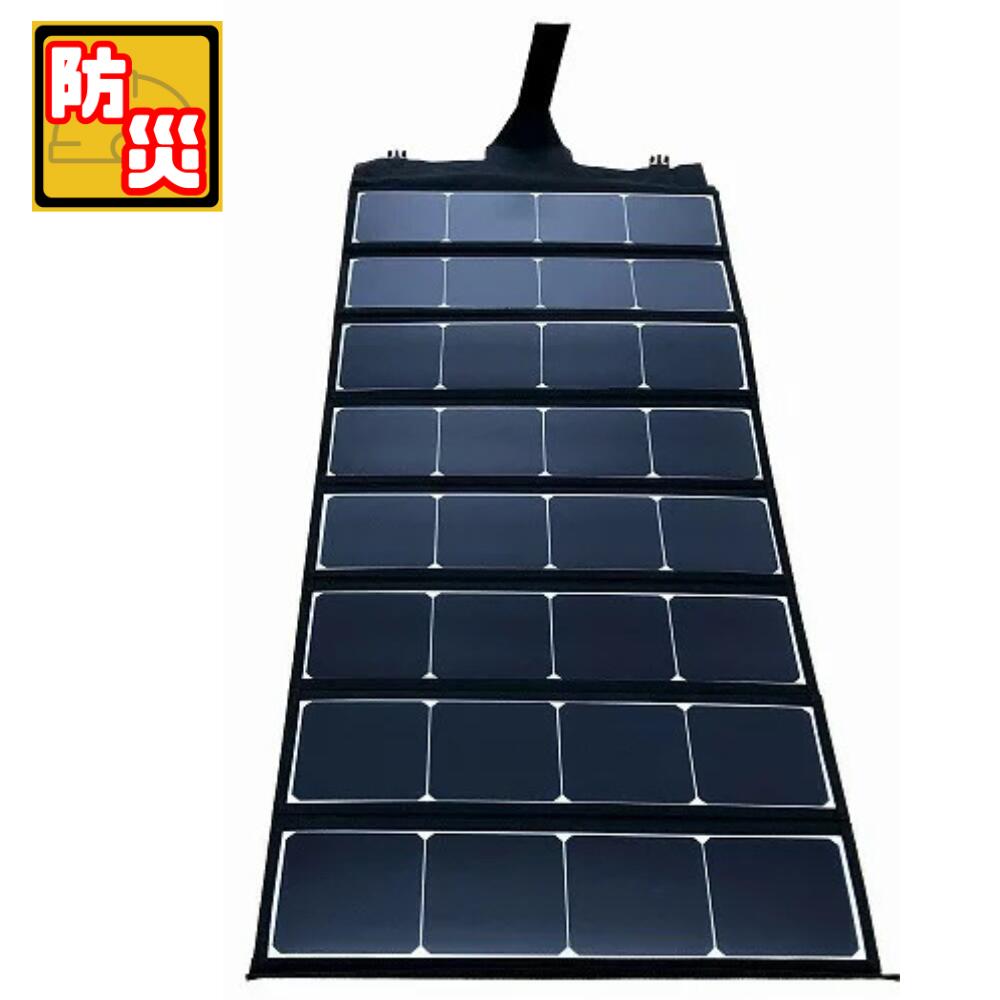 楽天市場】【沖縄・離島配送不可】【代引不可】EVERBright 100W