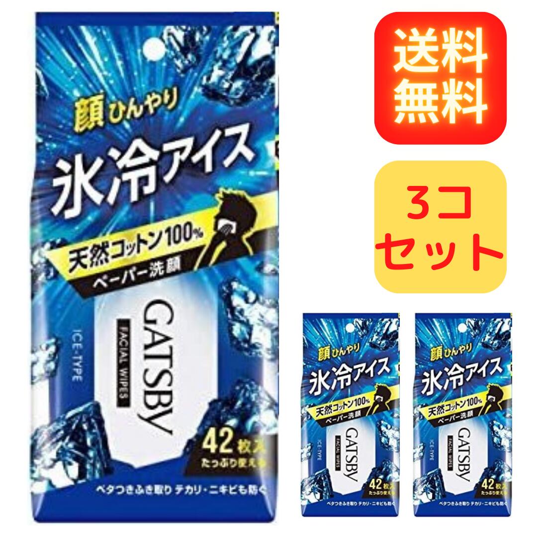 安心の定価販売】 ギャツビー 洗顔料とフェイシャルペーパー42枚入り3