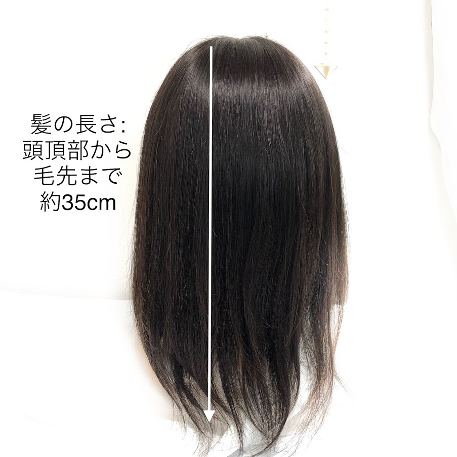 人となり髪100 御医者さん療用フルウィッグ ミディアムヘアー 好色なヘアースタイルに美容マスターがウィッグカット カスタマイズ 虚蝉体制 レミーヘア つむじあり 総手植え Marchesoni Com Br