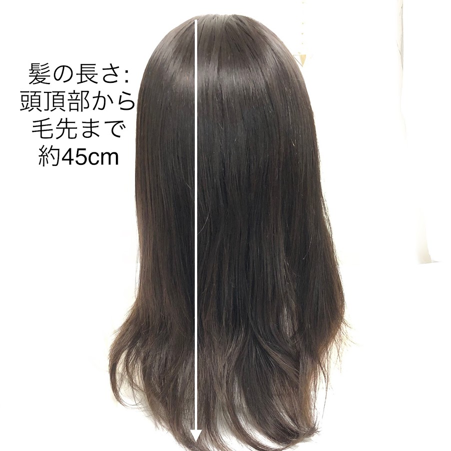 人毛100 医療用フルウィッグ ロングヘアー 好きなヘアースタイルに美容師がウィッグカット カスタマイズ セミオーダー レミーヘア 総手植え つむじあり Relentlessvb Com