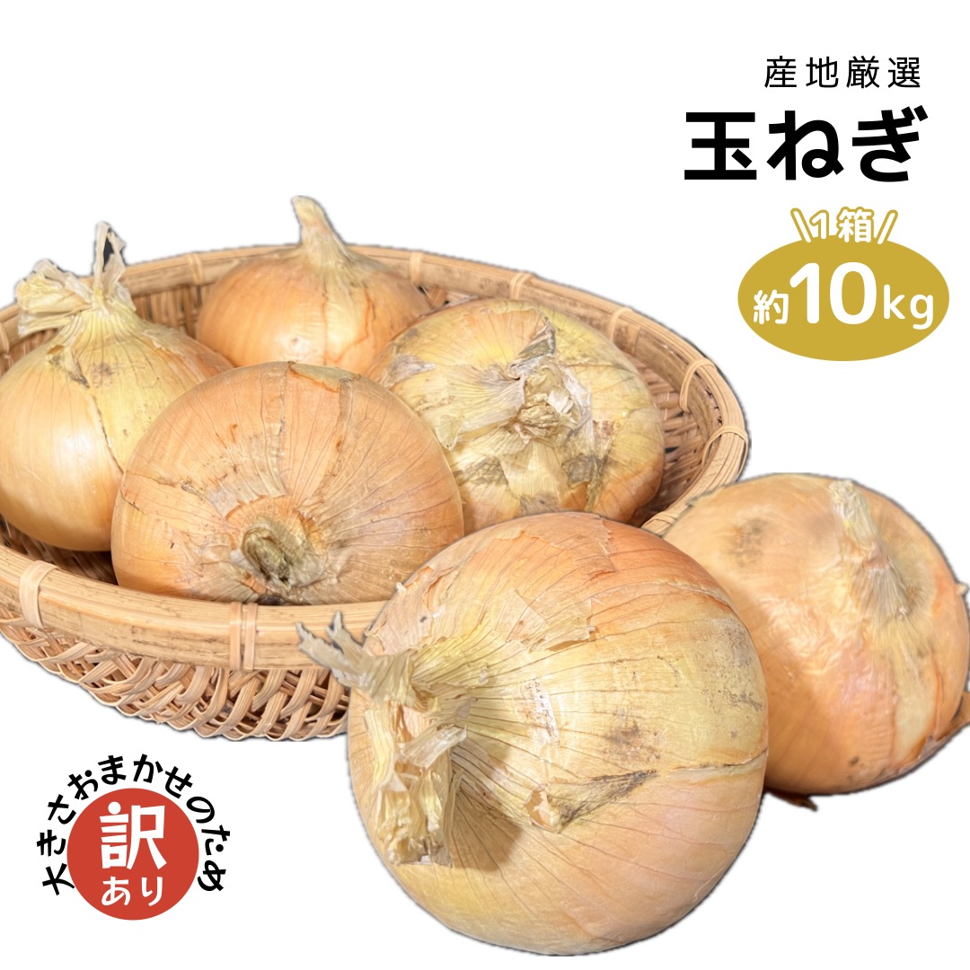 楽天市場】小田原産 下中玉ねぎ 正品 5kg 減農薬 たまねぎ 国産
