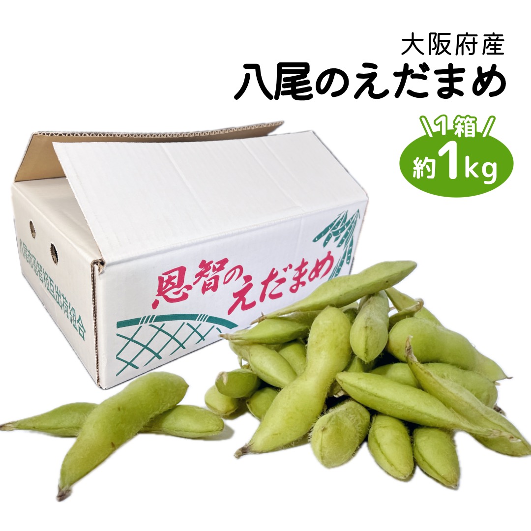 楽天市場】そらまめ 千葉・茨城県産ほか M〜Lサイズ 約2kg 簡易