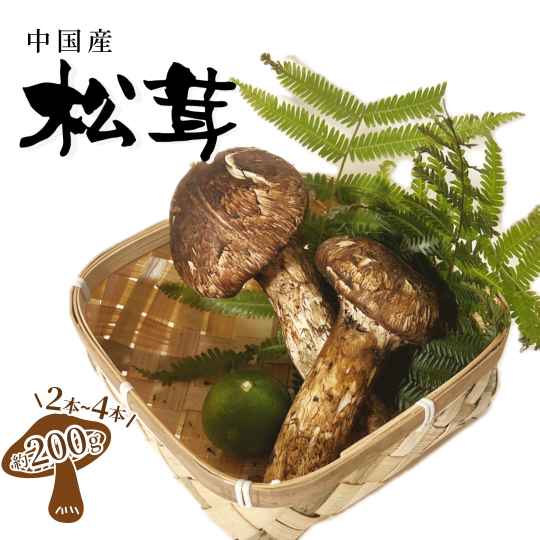 松茸　岩手県　国産 楽天市場】岩手産 松茸 つぼみ約200g 毎朝の競によって仕入れて