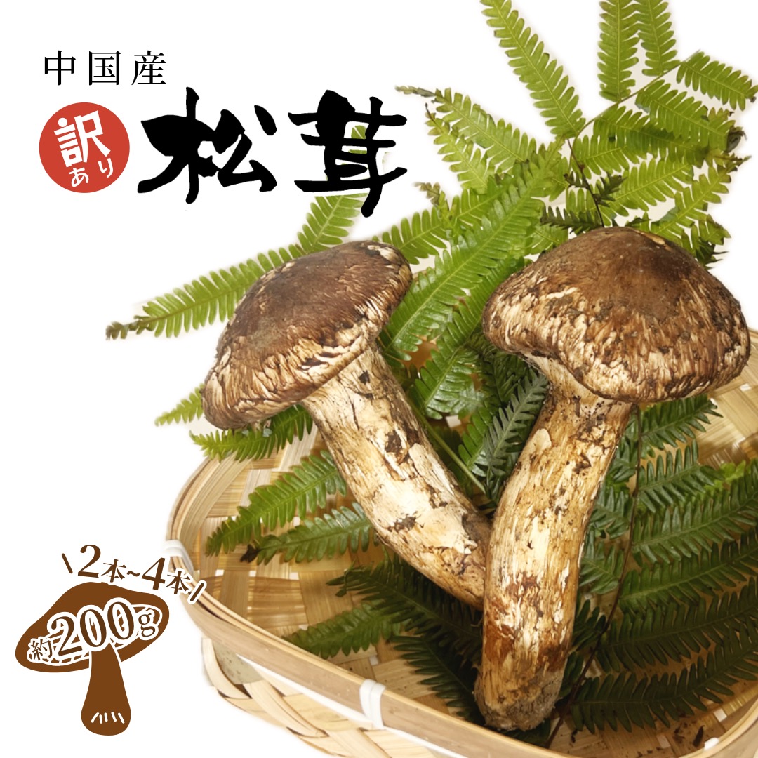 楽天市場】獲れ次第順次発送中 岩手県産 訳あり 松茸 300g (開き・欠け