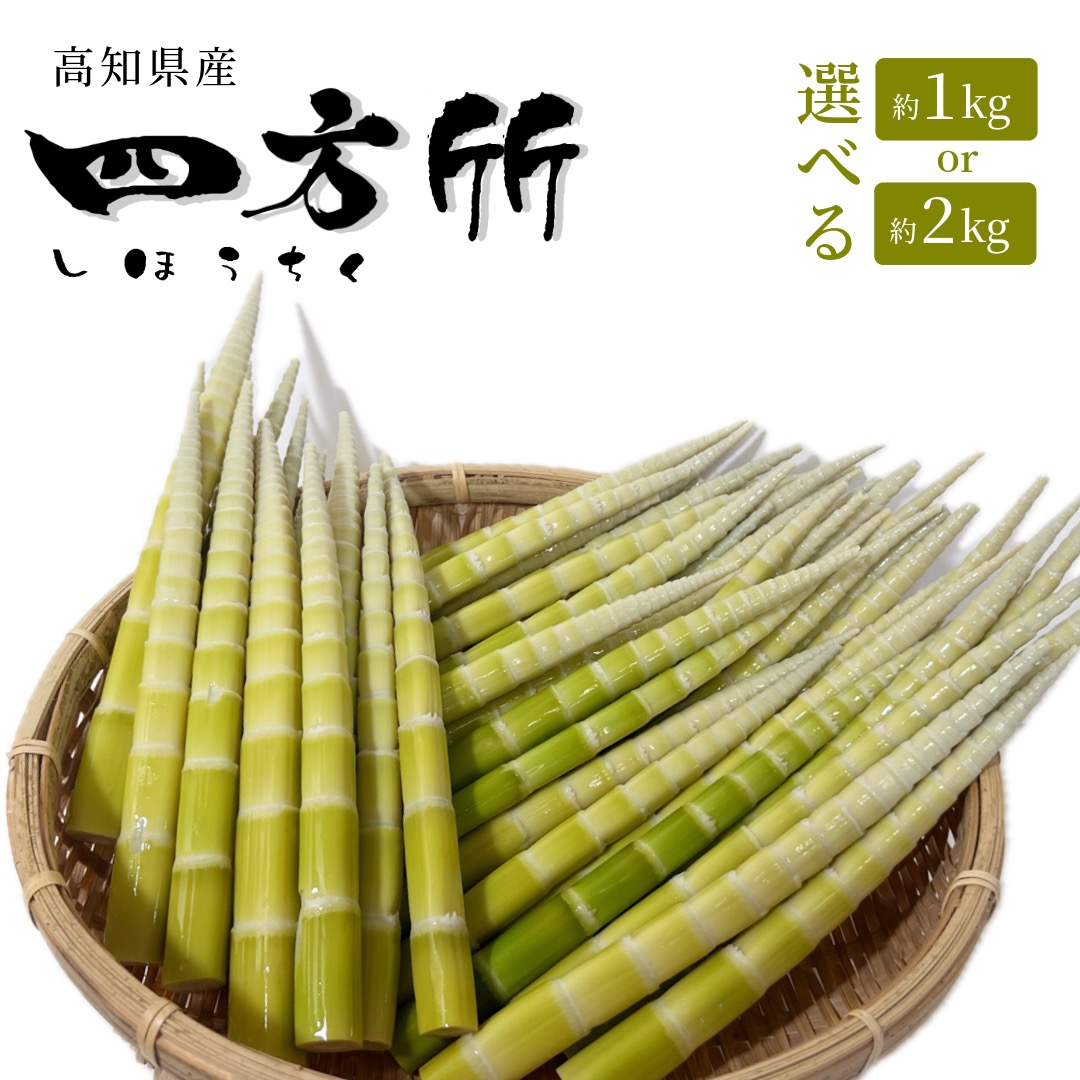 楽天市場】【送料無料】高知産・筍・四方竹約2kg入りクール便