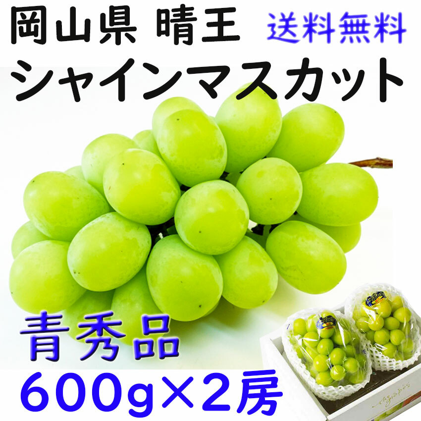 贈与 お中元 シャインマスカット 6００ｇ×２房 送料無料 晴王 岡山県産 ぶどう