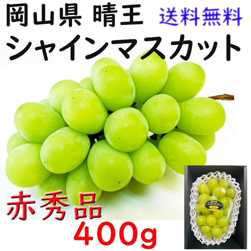 【楽天市場】お中元 シャインマスカット 【青秀】 ５００ｇ 送料無料 晴王 贈答 岡山県産 ぶどう ギフト プレゼント のし 熨斗対応 指定日ＯＫ  御礼 お見舞い 贈り物 JA 農協品 : 桃太郎フルーツ