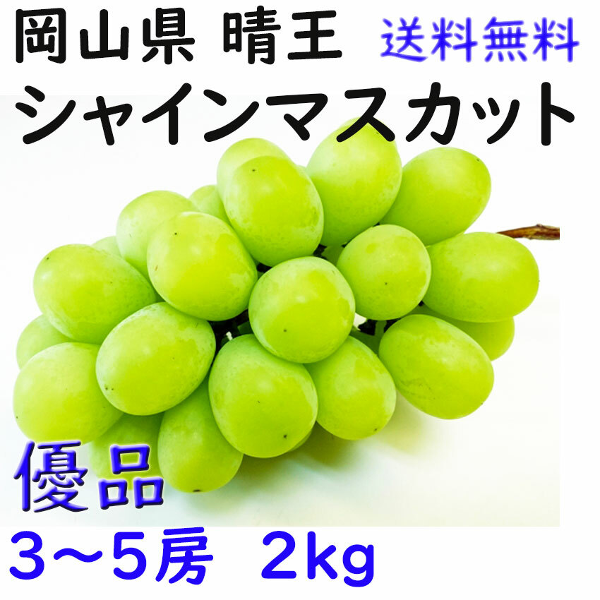 お中元 シャインマスカット Ja お見舞い のし ぶどう ギフト プレゼント 家庭用 岡山県産 御礼 指定日ｏｋ 晴王 熨斗対応 贈り物 農協品 送料無料 ２ｋｇ ３ ５房 上等 ２ｋｇ