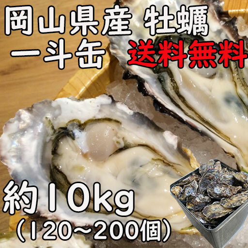 楽天市場 １１月先着順 最大２０００円ｏｆｆクーポン配布中 牡蠣 岡山県牛窓産 一斗缶 １０ｋｇ 牛窓 邑久 御歳暮 殻付き牡蠣 お歳暮 かき とれたて 生食用 お歳暮 新鮮 クール便 軍手 牡蠣ナイフ同梱 桃太郎フルーツ