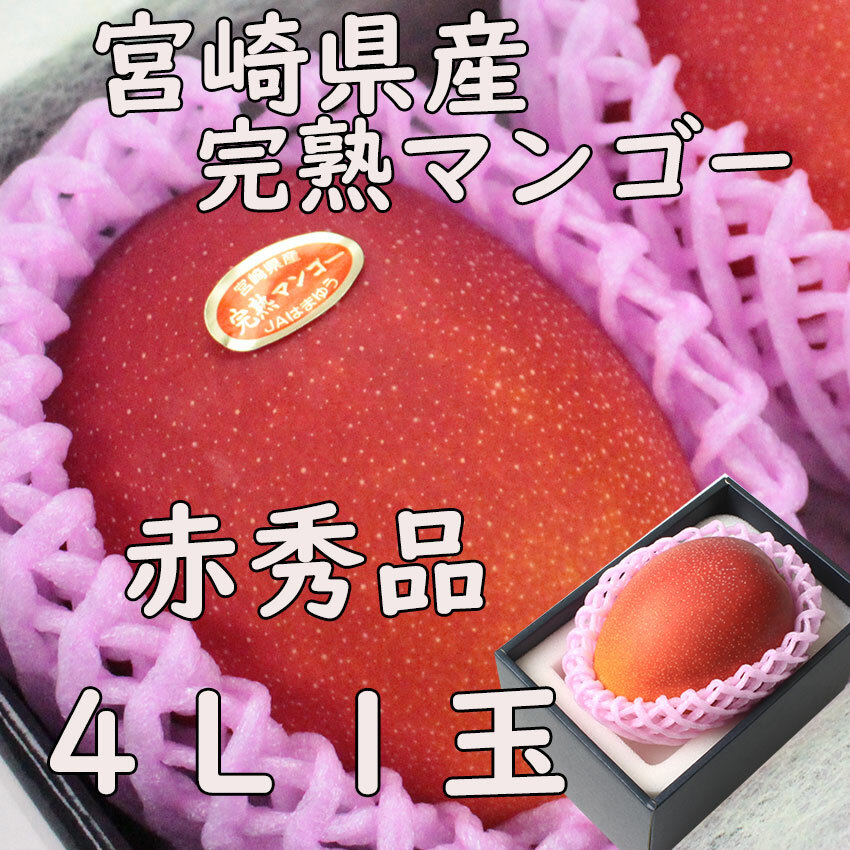 母の日 父の日 宮崎県産 完熟マンゴー【赤秀】４Ｌ１玉 母の日 送料無料  贈答 大玉 ギフト プレゼント のし 熨斗対応 日付指定ＯＫ 指定日ＯＫ 御礼 お見舞い 贈り物 JA 農協品 果物 果実 甘い 糖度 糖度保証 国産 国産フルーツ 国産マンゴー まんごー 南国フルーツ