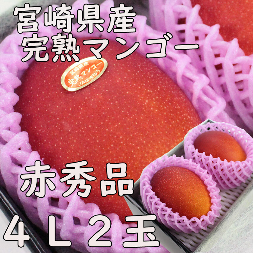 母の日　父の日 宮崎県産 完熟マンゴー【赤秀】４Ｌ2玉 送料無料  贈答 大玉 ギフト プレゼント のし 熨斗対応 日付指定ＯＫ 指定日ＯＫ 御礼 お見舞い 贈り物 JA 農協品 母の日 果物 果実 南国フルーツ 甘い 糖度 糖度保証 すぐ届く すぐ発送 すぐ到着 国産 まんごー