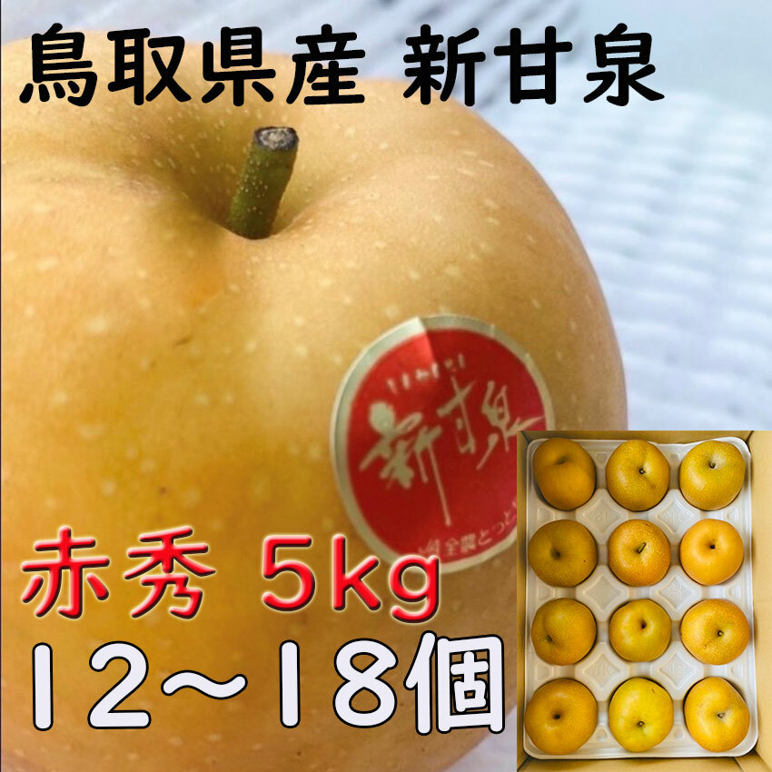 新甘泉 梨 贈答 赤秀品 １２〜１８玉 大玉 約５ｋｇ鳥取県産 鳥取中央 秋 ギフト プレゼント のし 熨斗対応 指定日ＯＫ 御礼 お見舞い 贈り物  JA 農協品 | 桃太郎フルーツ