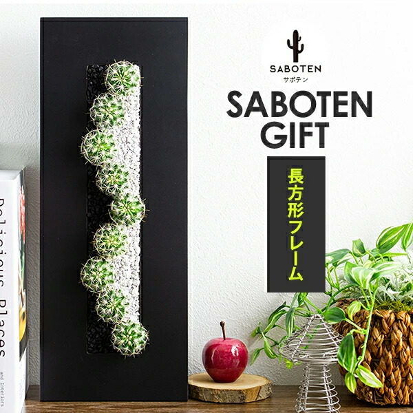 サボテン 多肉植物 置物 オシャレなインテリア サボテン 寄せ植え サボテンギフト 長方形フレーム ※サボテン 多肉植物 ミニサイズ オブジェ プレゼント 開店祝い 引越し祝い 誕生日プレゼント 土が見えない表面加工済み