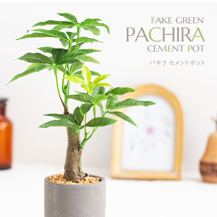 楽天市場】フェイクグリーン 人工観葉植物 卓上 ミニ 小さい おしゃれ