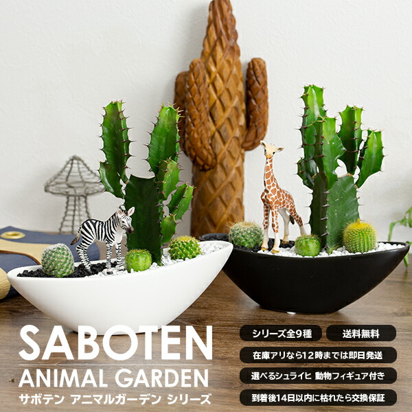 楽天市場 サボテン 多肉植物 楽天1位 オシャレなインテリア サボテン 寄せ植え 大雲閣 舟形タイプ 陶器鉢選べるシュライヒ動物フィギュアセット ギフト サボテン 多肉植物 ミニサイズ オブジェ プレゼント 開店祝い 引越し 誕生日 昇進 退職 上司 夫婦 記念日 花と