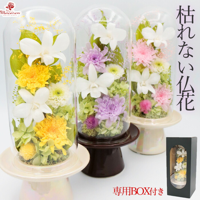 プリザーブドフラワー 硝子学生寄宿舎 仏花 お供え 学生寄宿舎 《凛》花 枯れない花 今めかしい お供え花 お自責の念 お供え花差し上げ物 お自責の念花 プリザーブド仏花 供養 御贈りもの花 お悔やみのお花 命日お供え 愛玩動物 お悔やみの花 ぶりざーぶどふらわー仏花 枯れない仏花 ブリザードフラワ-