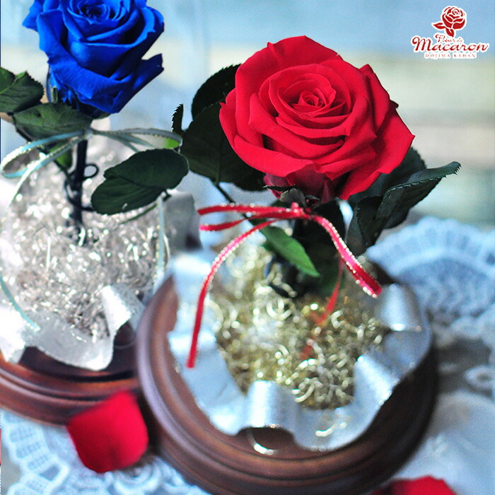 Forever In ブルーローズ Love ガラスドーム プリザーブドフラワーブリザードフラワー プロポーズ 赤 青 プリザーブドフラワー レッド ブルー ブルーローズ プロポーズ 赤バラ 記念日 ギフト 敬老の日 プレゼント 青バラ 結婚記念日 バラ一輪 誕生日 ブリザーブド