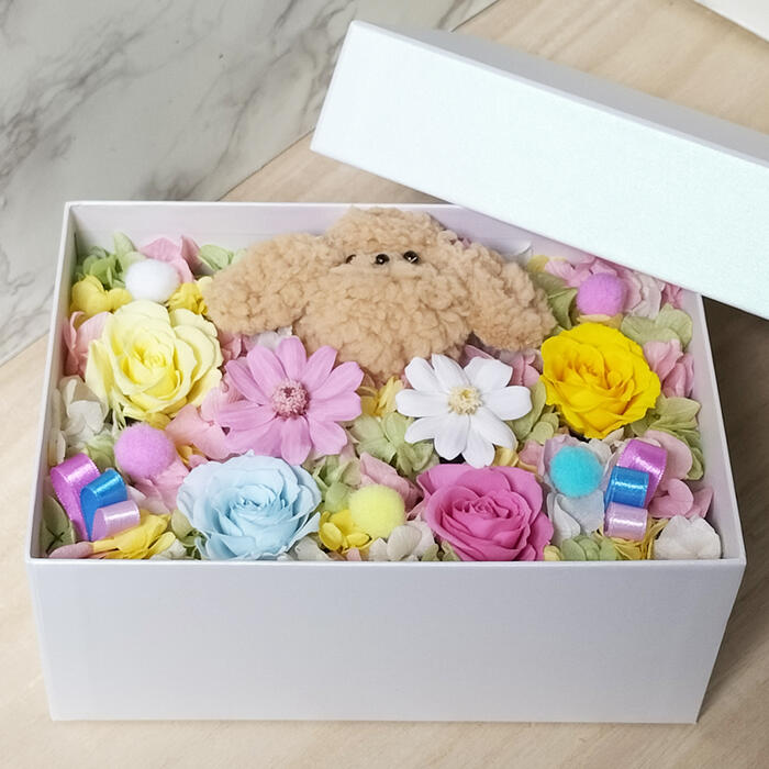 花 プリザーブドフラワー プードル ボックスフラワー フラワーギフト 花 結婚祝い 贈り物 プレゼント 母の日 誕生日祝い 退職祝い 引越し祝い 新築祝い 開店 開業 お祝い 女性 母 祖母 彼女 ブリザードフラワー