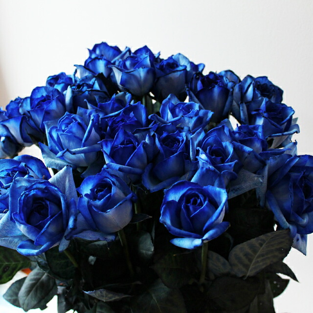 送料無料 憧れの青いバラの花束50本 カラー ブルー バラ花束 誕生日 プレゼント 男性 女性 薔薇 花 ギフト Monitor Systems Com