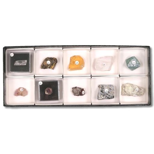 楽天市場】東京サイエンス 蛍光鉱物標本10種 短波 (S.W) : キッズ