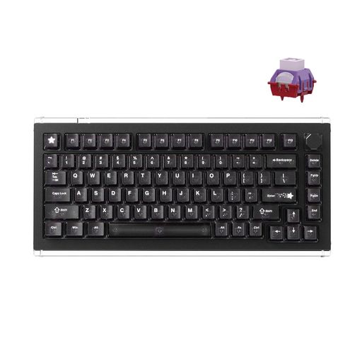 DrunkDeer A75 Master ラピッドトリガーキーボード eスポーツゲーミングキーボード 磁気スイッチ 調節可能な作動 - RT Plus - RTマッチ 0.01mm 8K Hz 75%デザイン - ANSI ブラック - TTC｜fleurette