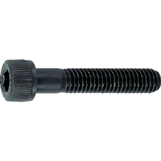 TRUSCO(トラスコ)六角穴付雄捩子黒染め半ねじ釘大いさM4x6016本入B30-0460x10容器に並べる【容れもの売りわたす】