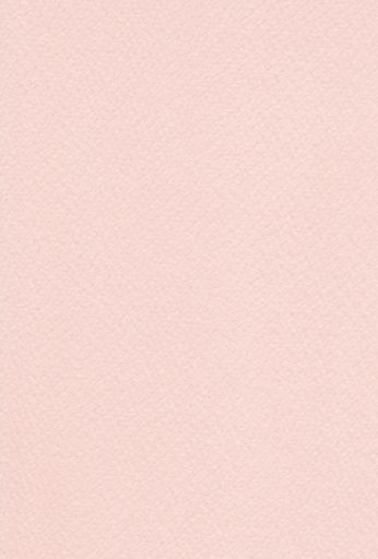 エスケント水彩紙マーメイド153kg八切さくら100枚371128