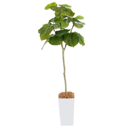 Botanical life+ フェイクグリーン 観葉植物 光触媒 大型 消臭 抗菌 ウンベラータ 170cm Kシリーズ|fleurette