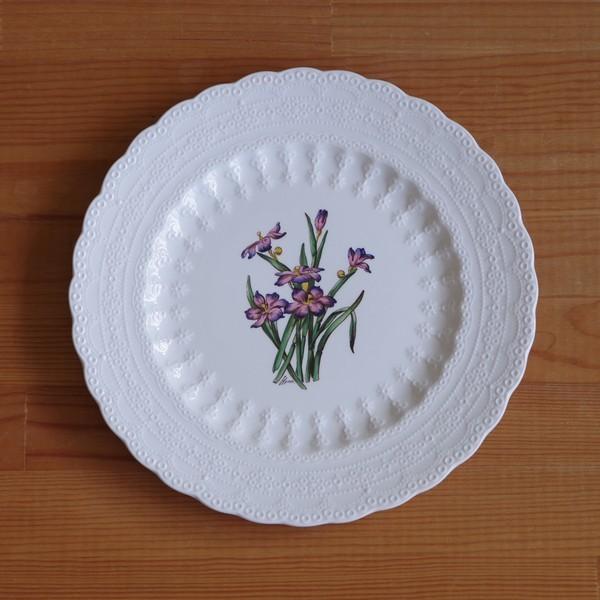 楽天市場】スポード Spode 英国製 プロヴァンス 約27cm ディナー