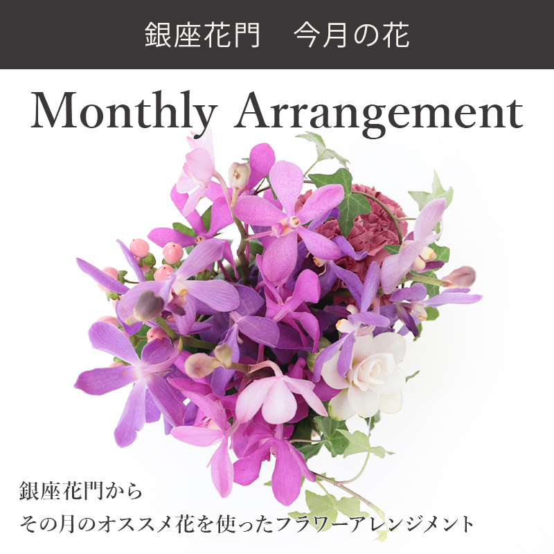 銀座花門 8月 モカラ この時期におすすめ 花 お花 ギフト 誕生日 記念日 結婚記念日 アレンジメント プレゼント フラワーアレンジメント アレンジメントフラワー あす楽 お祝い 開店祝い 結婚祝い お見舞い 女性 メッセージカード Epheseweb Com