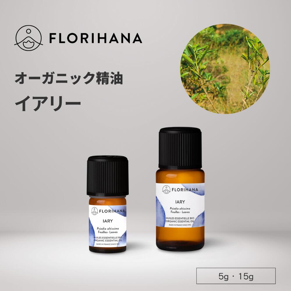 楽天市場】【フロリハナ公式】エレミ 精油 5g/15g 天然100