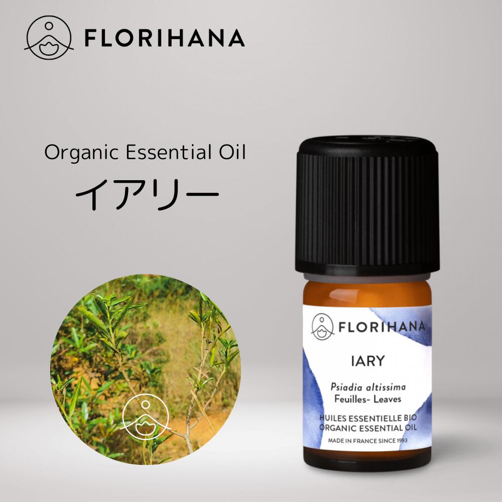 Amazon.co.jp: プラナロム (PRANAROM) 精油 ロックローズ 5ml p