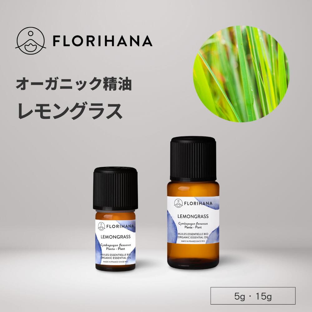 オーガニック　エッセンシャル　メリッサオイル　10ml 楽天市場】メリッサ精油 エッセンシャルオイル オーガニック 天然