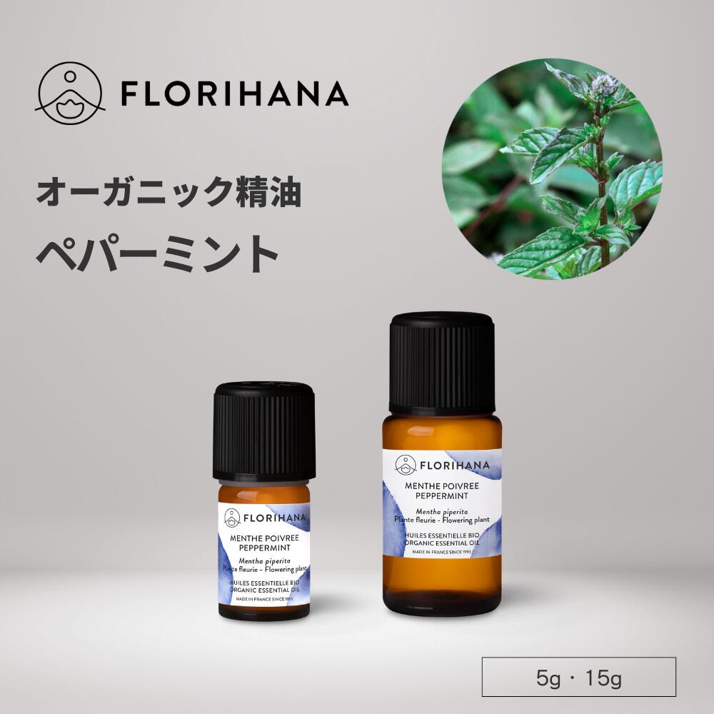 楽天市場】【フロリハナ公式】ローズマリー シネオール 精油